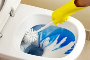 سافانت قانوني لائق بدنيا  طريقة تنظيف المرحاض - شركة الرائد للتنظيف والنقل